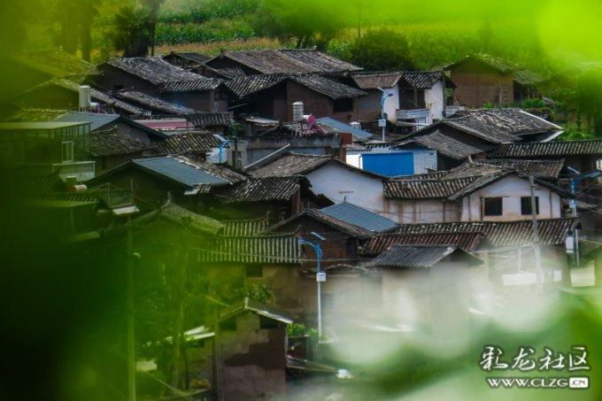 徐德直初中数学课全套完结